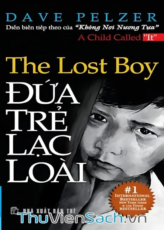 Ảnh bìa sách Đứa Trẻ Lạc Loài