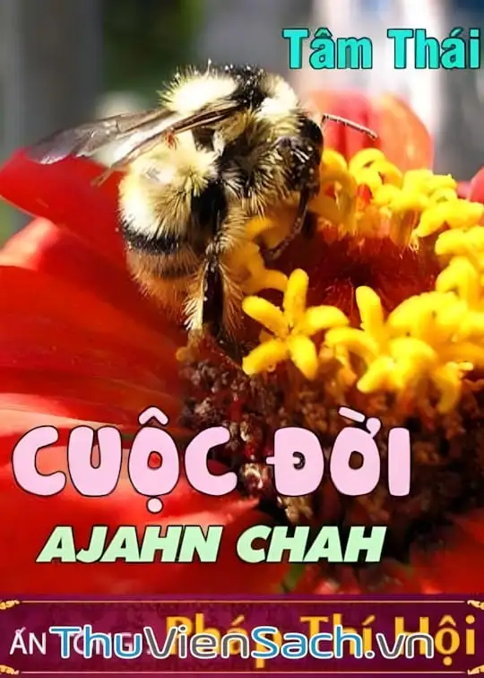 Ảnh bìa sách Cuộc Đời Của Ajahn Chah