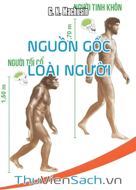 Ảnh bìa sách Nguồn Gốc Loài Người