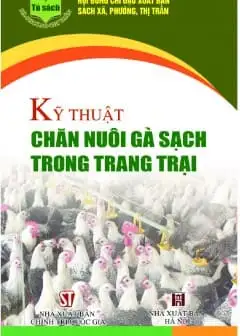 Ảnh Kỹ Thuật Chăn Nuôi Gà Sạch Trong Trang Trại