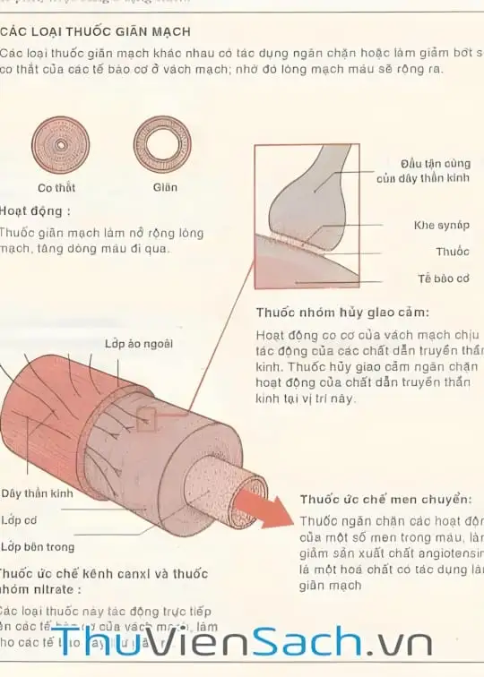 Ảnh bìa sách Khái Niệm Về Thuốc - Danh Mục Thuốc Gốc