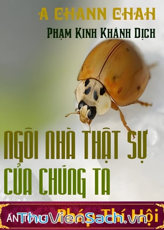 Ảnh bìa sách Ngôi Nhà Thật Sự Của Chúng Ta