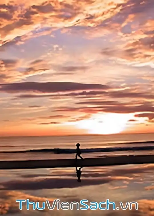 Ảnh bìa sách Những Mảnh Đời Luân Lạc