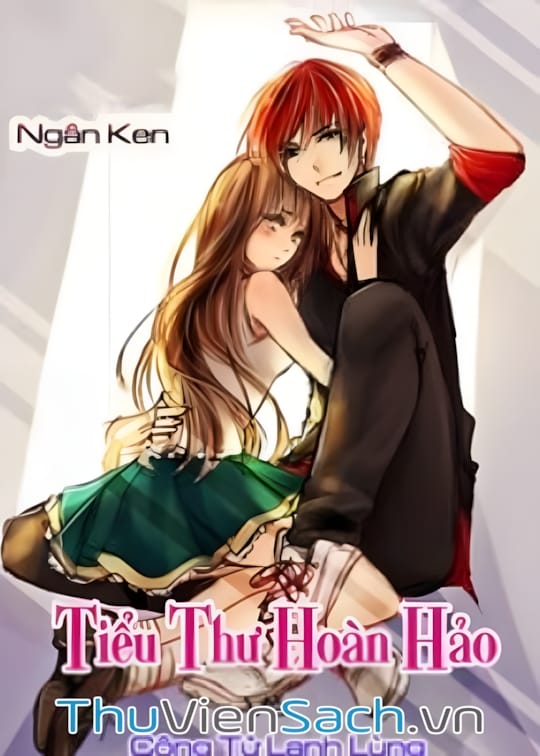 Ảnh bìa sách Tiểu Thư Hoàn Hảo Và Công Tử Lạnh Lùng