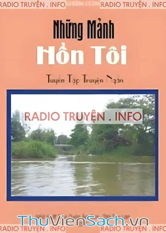 Ảnh bìa sách Những Mảnh Hồn Tôi