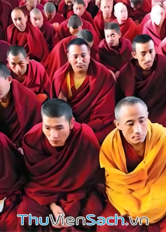 Ảnh bìa sách Đi Tìm Từ Bi