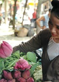 Ảnh Huyền Sử Cỏ Tiên