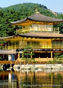 Ảnh Kim Các Tự ( Kinkakuji ) - Yukio