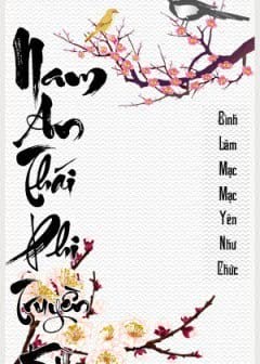 Ảnh Nam An Thái Phi Truyền Kỳ