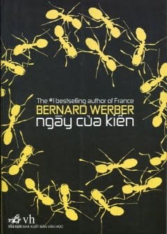 Ảnh Ngày Của Kiến