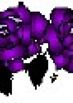 Ảnh Nhật Ký Công Chúa