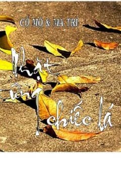 Ảnh Nhặt Từng Chiếc Lá