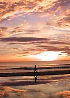 Ảnh Những Mảnh Đời Luân Lạc