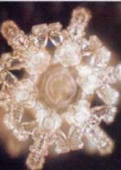 Ảnh Nước Phản Ảnh Tâm Thức Của Chúng Ta