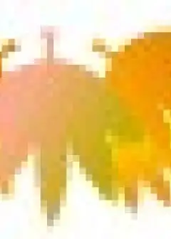 Ảnh Phía Ấy Người Đi