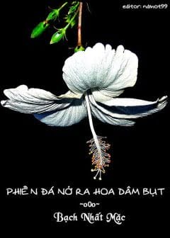 Ảnh Phiến Đá Nở Ra Hoa Dâm Bụt