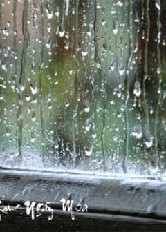 Ảnh Phiên Khúc Ngày Mưa