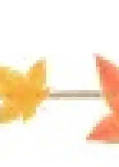 Ảnh Sống Như Tiểu Cường