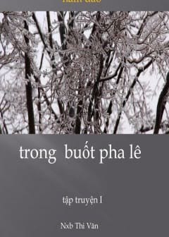 Ảnh Trong Buốt Pha Lê