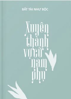 Ảnh Xuyên Thành Vợ Cũ Nam Phụ
