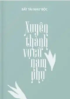 Ảnh Xuyên Thành Vợ Cũ Nam Phụ
