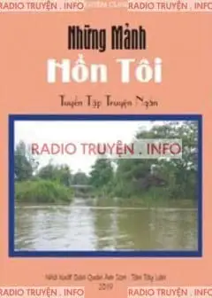 Ảnh Những Mảnh Hồn Tôi