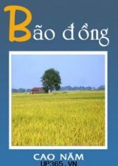Ảnh Bão Đồng
