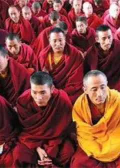 Ảnh Đi Tìm Từ Bi