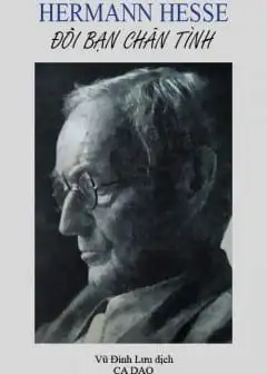 Đôi Bạn Chân Tình