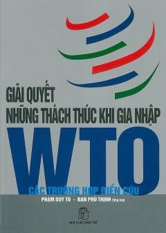 Ảnh Giải Quyết Những Thách Thức Khi Gia Nhập Wto