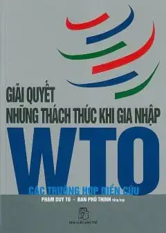 Ảnh Giải Quyết Những Thách Thức Khi Gia Nhập Wto