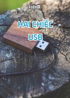 Ảnh Hai Chiếc Usb