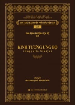 Ảnh Kinh Tương Ưng Bộ - Tập 6