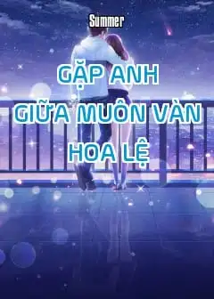 Gặp Anh Giữa Muôn Vàn Hoa Lệ