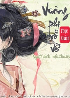 Ảnh Vương Phi Trở Về