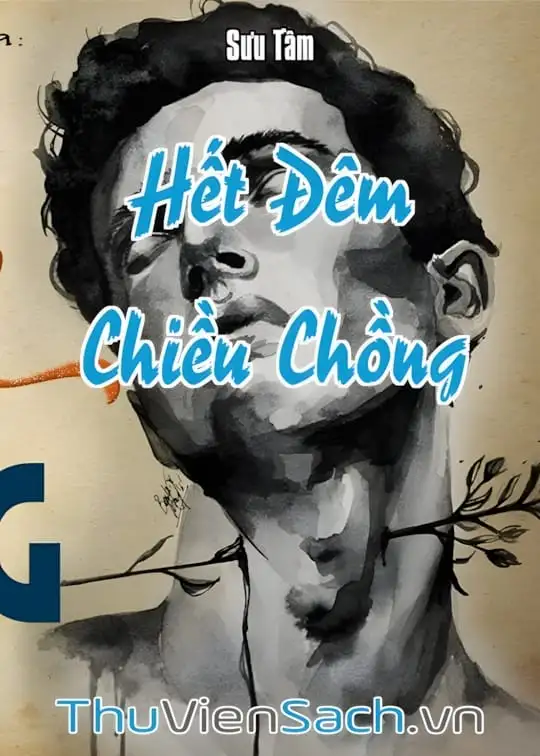 Ảnh bìa sách Hết Đêm Chiều Chồng