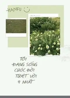Ảnh Tôi Đang Sống Cuộc Đời Tuyệt Vời Nhất