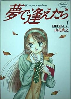 Ảnh Nếu Có Thể Gặp Em Trong Mơ