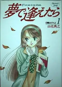 Ảnh Nếu Có Thể Gặp Em Trong Mơ