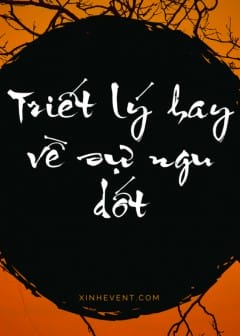 Ảnh 90+ Triết Lý Hay Về Sự Ngu Dốt Thâm Thúy Nhất Bạn Nên Biết