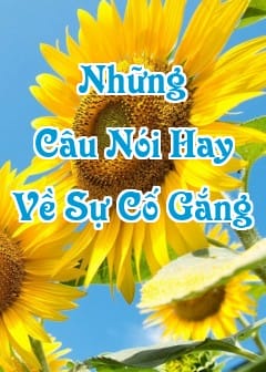 Ảnh Những Câu Nói Hay Về Sự Cố Gắng, Chiến Thắng Bản Thân