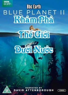 Khám Phá Thế Giới Dưới Nước