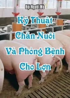 Ảnh Kỹ Thuật Chăn Nuôi Và Phòng Bệnh Cho Lợn