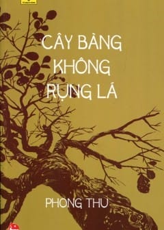 Ảnh Cây Bàng Không Rụng Lá
