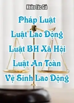 Ảnh Pháp Luật - Quyển 3: Luật Lao Động, Luật Bảo Hiểm Xã Hội, Luật An Toàn Vệ Sinh Lao Động