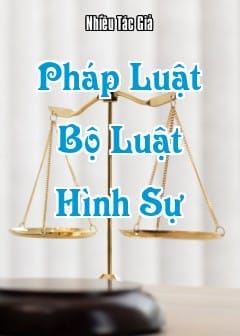 Ảnh Pháp Luật - Quyển 9: Bộ Luật Hình Sự
