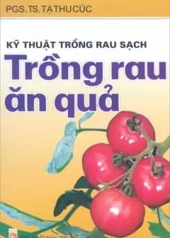 Ảnh Kỹ Thuật Trồng Rau Ăn Trái