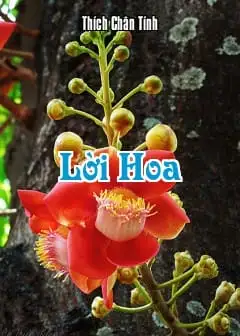 Ảnh Lời Hoa