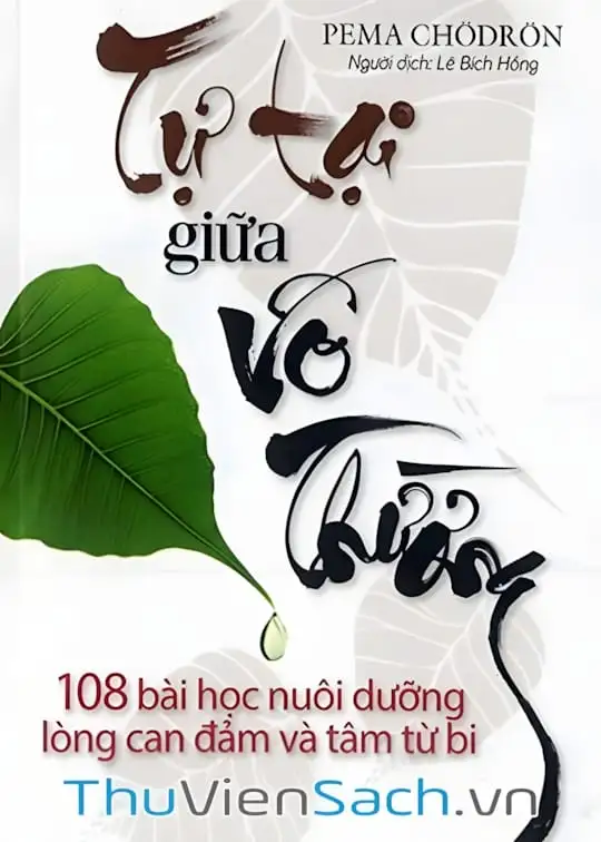 Ảnh bìa sách Tự Tại Giữa Vô Thường