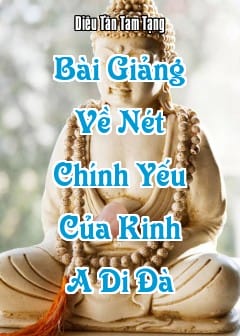 Bài Giảng Về Nét Chính Yếu Của Kinh A Di Đà
